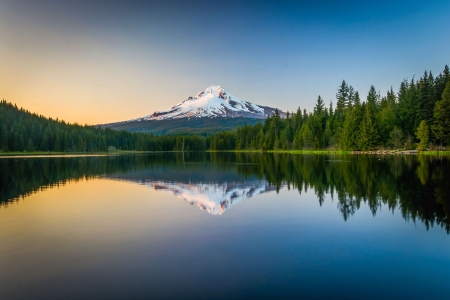 Lake Reflection - Lake, reflection, nature, tree