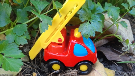Car toy in garden - car, garden, toys, truck