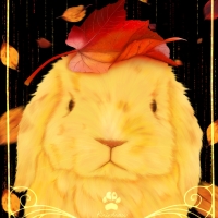 Autumn bunny