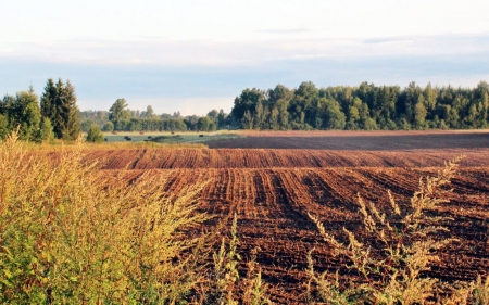 September Field