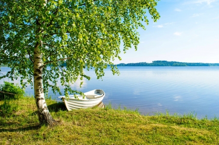 White boat on the lake - branches, beautiful, boat, grass, tree, calmness, white, tranquility, serenity, lake