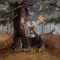 Deer Painting