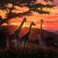 Giraffe painting