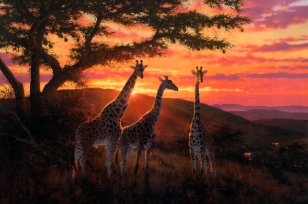 Giraffe painting - Other & Abstract Background Wallpapers on Desktop