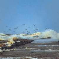 Waves and Breakwater