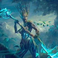 Power of the forest