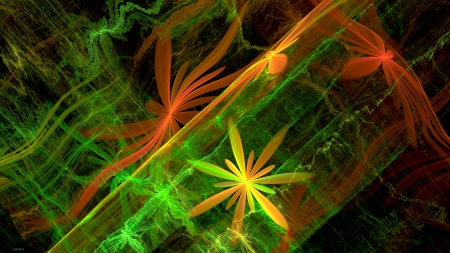 Daises in plasma - green-orange, plasma, HD, CG, daisies, black, background, digital, pretty, arty, flowers