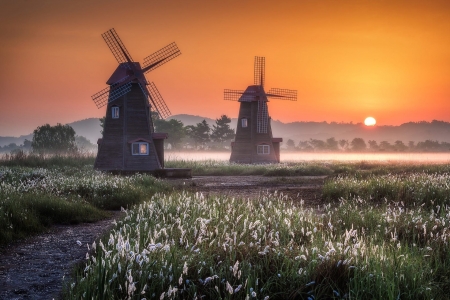 Windmill - susnet, morning, field, Windmill