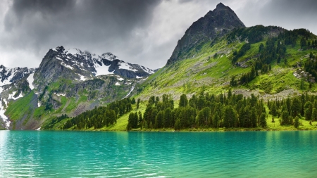 Lake - Lake, water, nature, tree