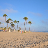 Venice Beach