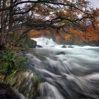 Los-Glaciares-National-Park