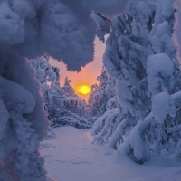 Winter Sunrise