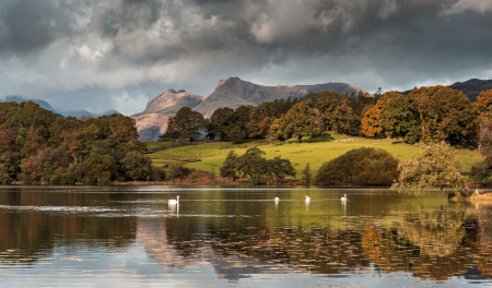 Pond - lake, nature, pond, sky