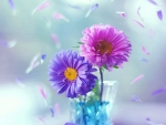 Colorful flowers