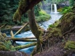 The Epic Koosah Falls of Oregon