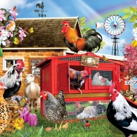 Chicken Coop