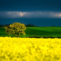 A storm clouds over a field