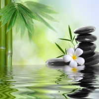 Zen basalt stones