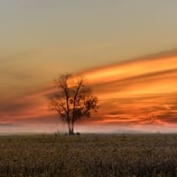 Sunrise over Field