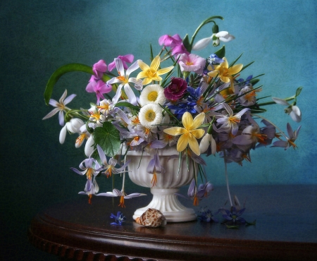 â‰ â‰ - flowers, shell, spring, still life