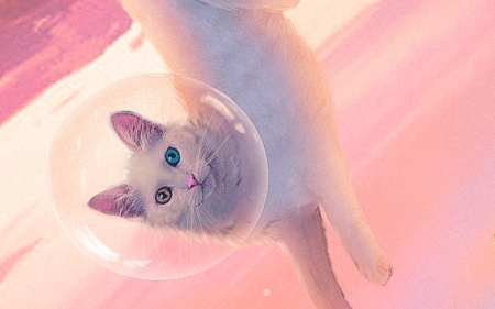 Space cat - pink, fantasy, pisici, aleksandra cabel, space, cat, cosmonaut, art, astronaut, luminos