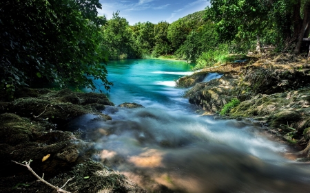 Mountain  river - River, Trees, Forest, Green  water