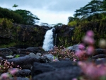 Hilo, Hawaii