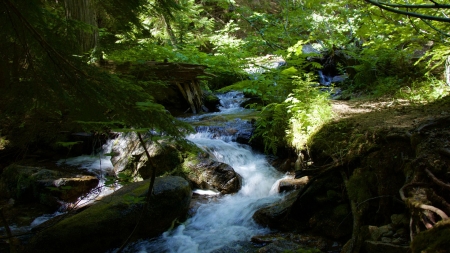 Granite Creek Valley, Washington