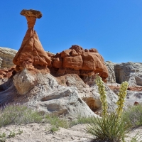 Toadstools Trail, Grand Staircase-Escalante National Monument, Utah