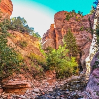 Kanarra Falls, Zion NP, Utah