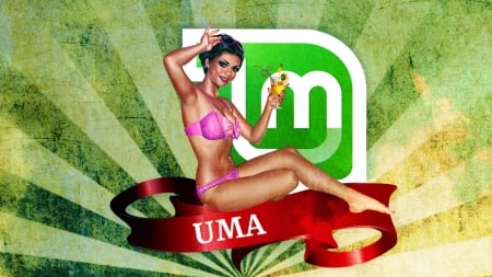 UmaLM - uma, girl, linux, laptop