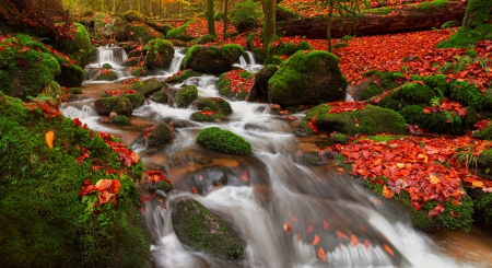 Autumn in Germany - trees, beautiful, creek, stream, forest, leaves, stones, fall, autumn, serenity, peaceful, park, foliage