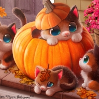 Pumpkittens