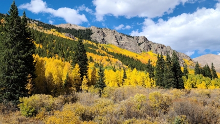 Guanella Pass, Colorado - usa, clouds, fall, trees, autumn, landscape, colors, sky