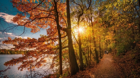 Fall Colors At The Lake - path, trees, autumn, colors, leaves