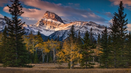 Autumn at Banff NP, Alberta - clouds, trees, canada, landscape, forest, sky