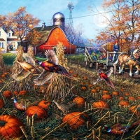 The Pumpkin Patch