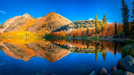 Californian Autumn - usa, fall, trees, water, colors, reflection, sky