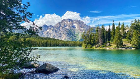 Another gorgeous Tetons view - usa, wyoming, clouds, trees, water, landscape, mountains, sky