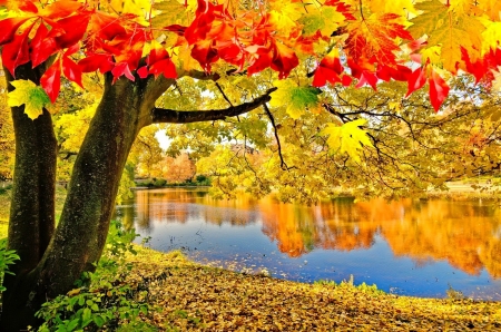 Autumn season - Lakes & Nature Background Wallpapers on Desktop Nexus ...