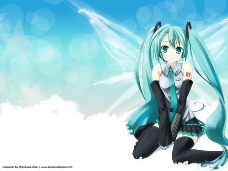 Miku  - vocaloid, anime, miku, bella, blue girl, long hair