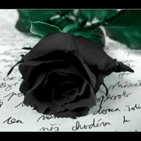 Gothic rose