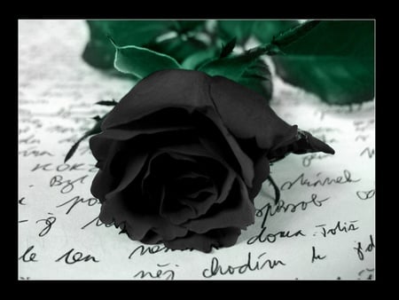 Gothic rose - black, letters, letter, flower, dark