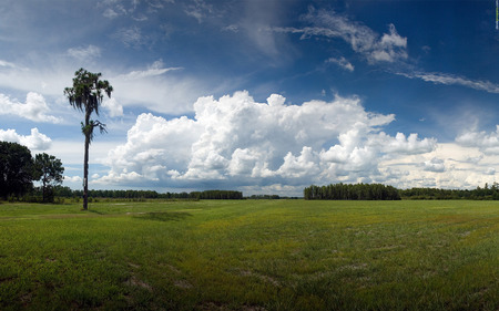 Beautiful White Clouds - clouds, skies, white clouds, nature, blue sky, tree, sky