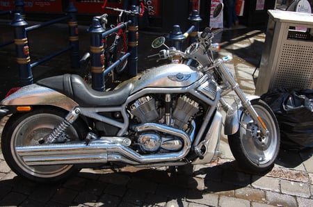 Harley V-Rod - muscle power, bikes