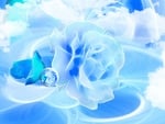 	Ice Rose