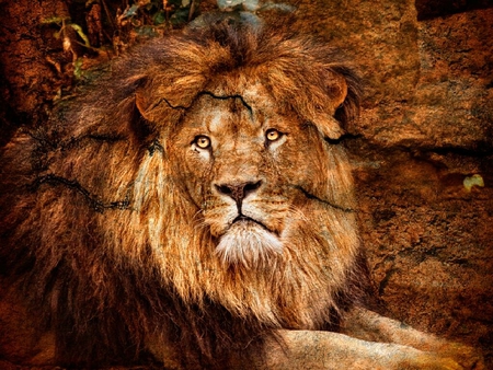 Sin duda  el Rey - king, lion