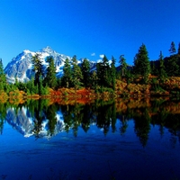 Fall color at Picture Lake