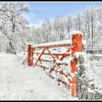 The Red Gate