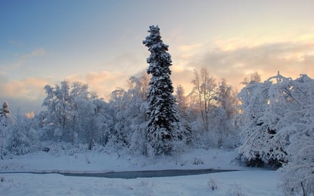 alaska - snow, alaska